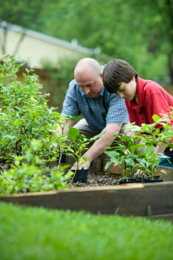 Therapeutic Power of Gardening