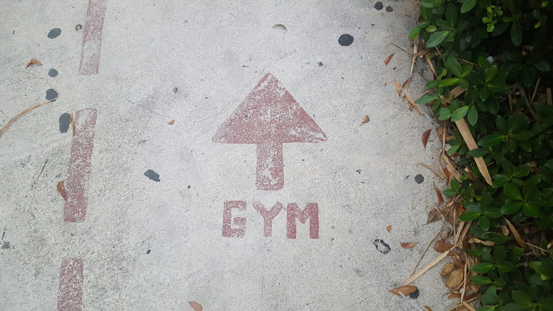Your Fitness Goals Deserve More Than Injuries—Here’s How to Stay Strong and to Prevent Gym Injuries